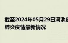 截至2024年05月29日河池疫情最新消息-河池新型冠状病毒肺炎疫情最新情况