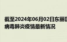 截至2024年06月02日东丽区疫情最新消息-东丽区新型冠状病毒肺炎疫情最新情况