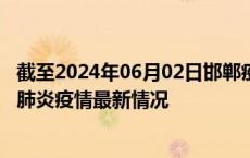 截至2024年06月02日邯郸疫情最新消息-邯郸新型冠状病毒肺炎疫情最新情况