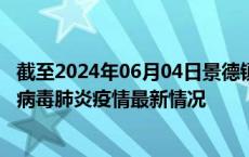 截至2024年06月04日景德镇疫情最新消息-景德镇新型冠状病毒肺炎疫情最新情况