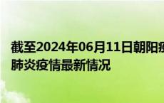 截至2024年06月11日朝阳疫情最新消息-朝阳新型冠状病毒肺炎疫情最新情况
