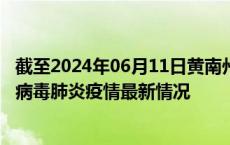 截至2024年06月11日黄南州疫情最新消息-黄南州新型冠状病毒肺炎疫情最新情况