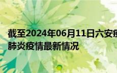 截至2024年06月11日六安疫情最新消息-六安新型冠状病毒肺炎疫情最新情况