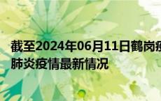 截至2024年06月11日鹤岗疫情最新消息-鹤岗新型冠状病毒肺炎疫情最新情况