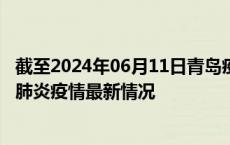 截至2024年06月11日青岛疫情最新消息-青岛新型冠状病毒肺炎疫情最新情况