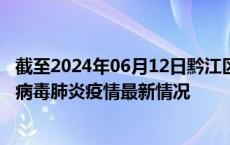 截至2024年06月12日黔江区疫情最新消息-黔江区新型冠状病毒肺炎疫情最新情况