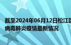 截至2024年06月12日松江区疫情最新消息-松江区新型冠状病毒肺炎疫情最新情况