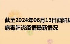 截至2024年06月13日酉阳县疫情最新消息-酉阳县新型冠状病毒肺炎疫情最新情况