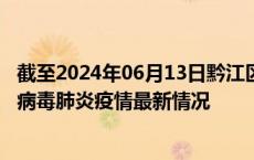 截至2024年06月13日黔江区疫情最新消息-黔江区新型冠状病毒肺炎疫情最新情况