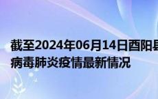 截至2024年06月14日酉阳县疫情最新消息-酉阳县新型冠状病毒肺炎疫情最新情况