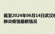 截至2024年06月14日武汉疫情最新消息-武汉新型冠状病毒肺炎疫情最新情况