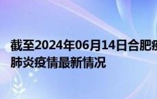 截至2024年06月14日合肥疫情最新消息-合肥新型冠状病毒肺炎疫情最新情况