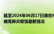 截至2024年06月17日德宏州疫情最新消息-德宏州新型冠状病毒肺炎疫情最新情况